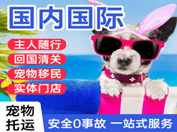 白山机场托运国际宠物托运 【国